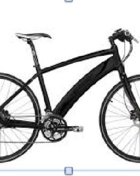 Lost Electric Bike