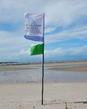 Burrum Windfest