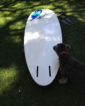 Windsurfing