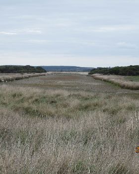 lake frome drain