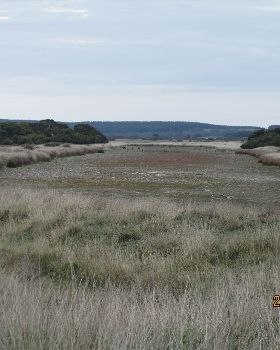 lake frome drain