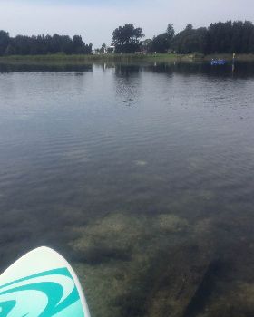 Primbee Submerged Sleeper 1