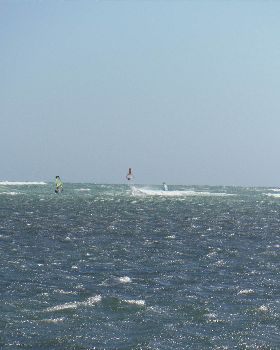Antman lite on 47 on new board late April 2016