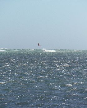 Antman lite on 47 on new board late April 2016