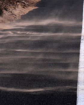 white line fever 1