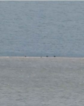 Goodwin Sands barely exposed