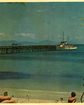 green-island-postcard-311