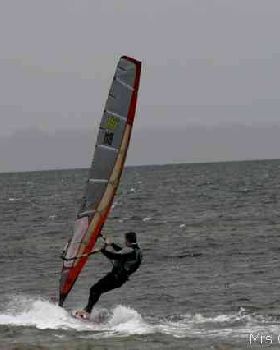 Whipping Boy takes off