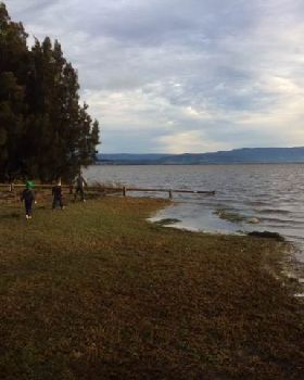 Primbee after the king tide