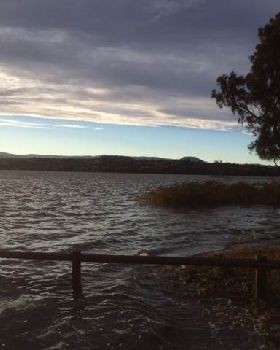 Primbee after the king tide