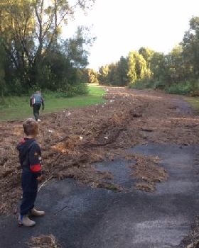 Primbee after the king tide