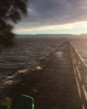 Primbee after the king tide