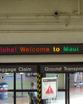 DSC00453