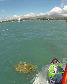 Windsurfing