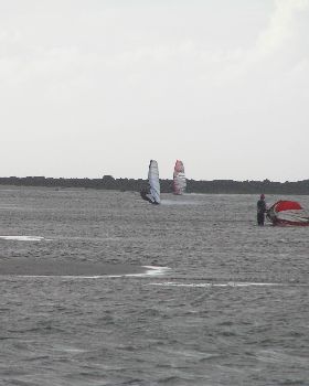 P1010053