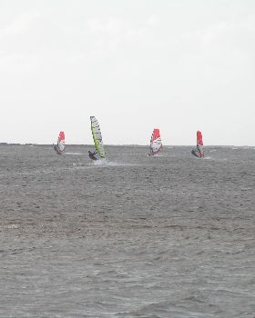 P1010061