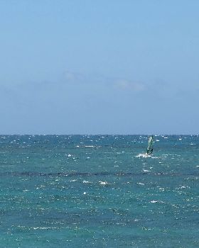 DSC03712