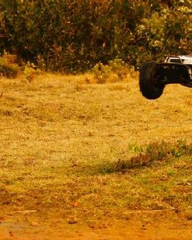 buggy1