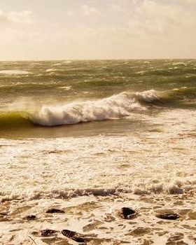 sandbar