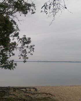 IMAG0668