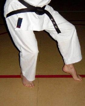 Neko-ashi-dachi