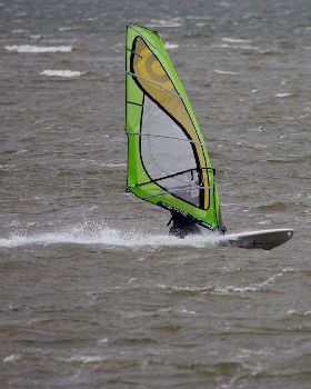 Windy Sunday