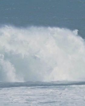 Gerroa Bomby 25th October 2016