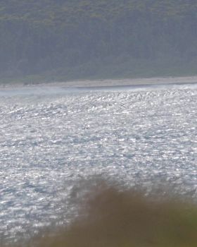 Gerroa Bomby 25th October 2016