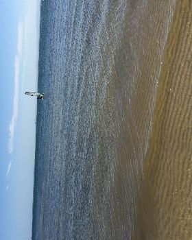 Light wind sailing bongaree