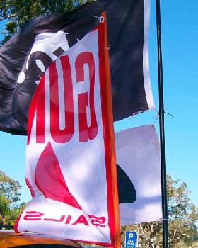 WindWanderers Bribie Meet