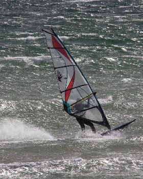 Windy