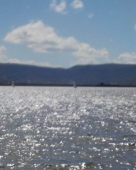 Illawara today