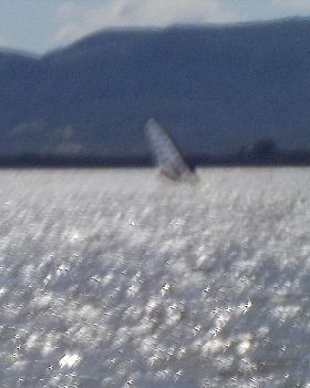 Illawara today