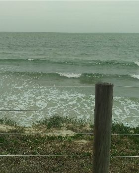 IMAG0109[1]