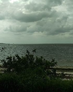 IMAG0117
