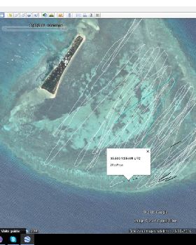 Image1