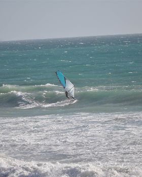 Photos