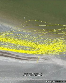 2017.1.6