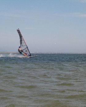 Fun in the Sun