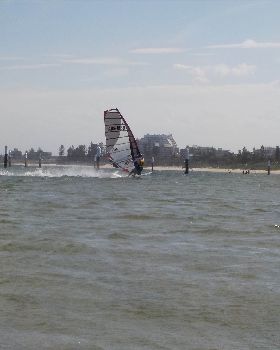 Fun in the Sun