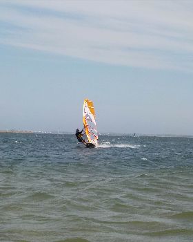 Fun in the Sun