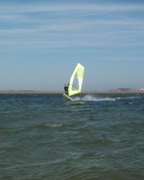 Fun in the Sun