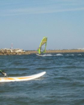 Fun in the Sun