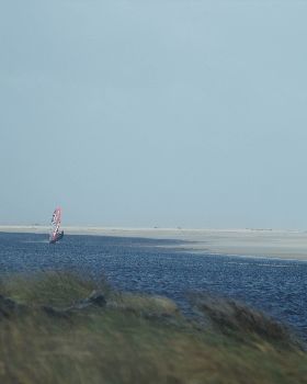 DSC06251