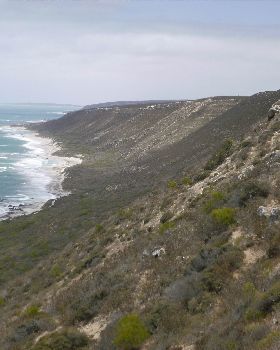 P1000166