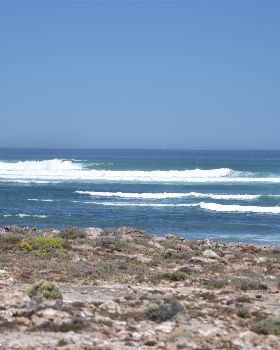 West Coast