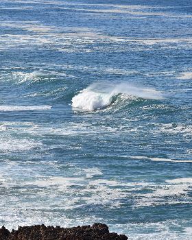 West Coast