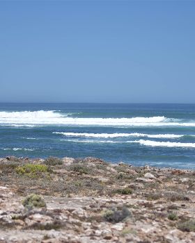 West Coast