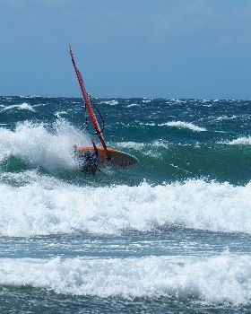 P1010230[13835] (2)