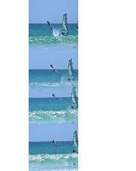 Marti Dolphin Encounter